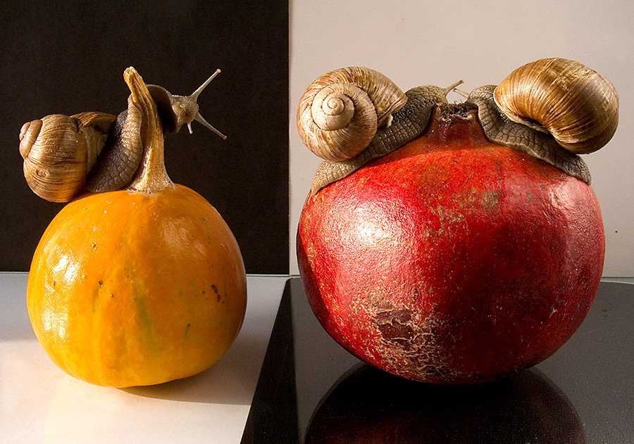 Найди отличия