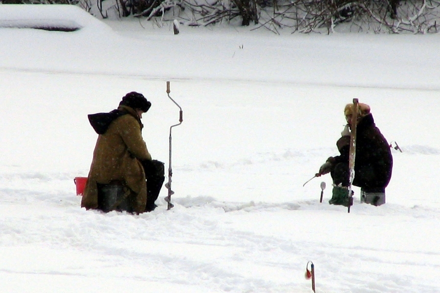 Титульный бой