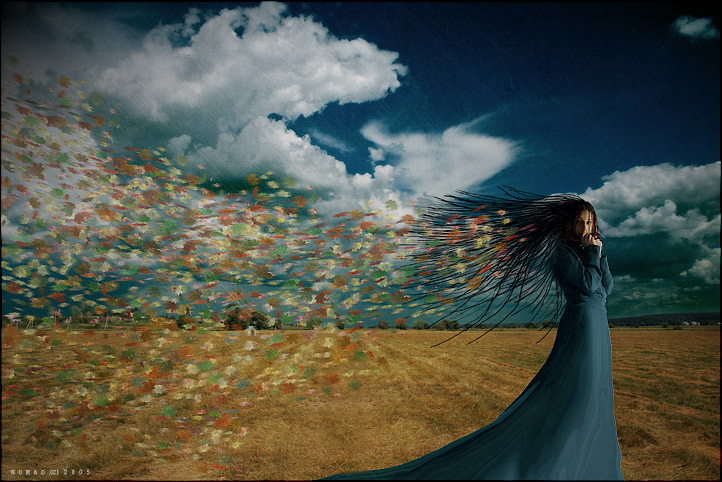 Осень пришла ...