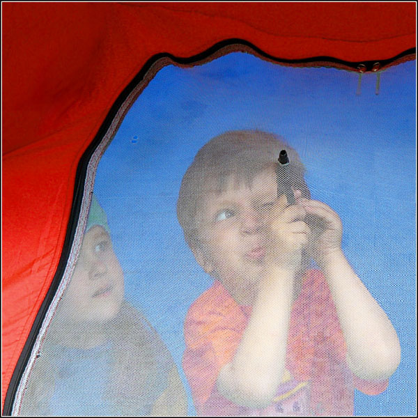 Комара на мушку