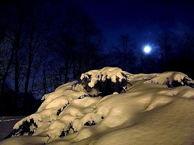 чуеш?.. крычыць сава...