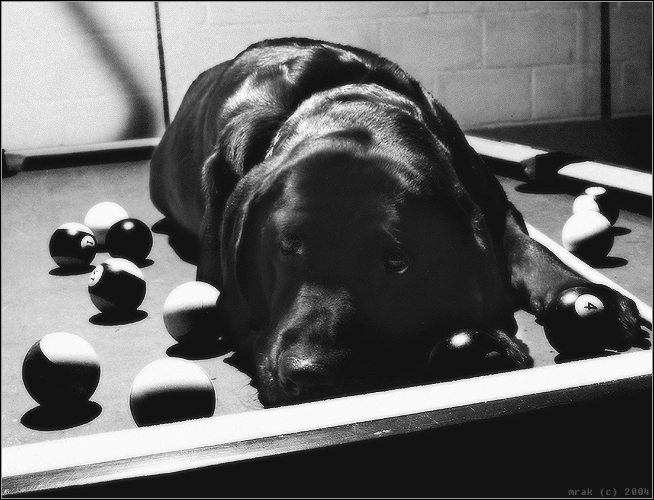 биллиардная