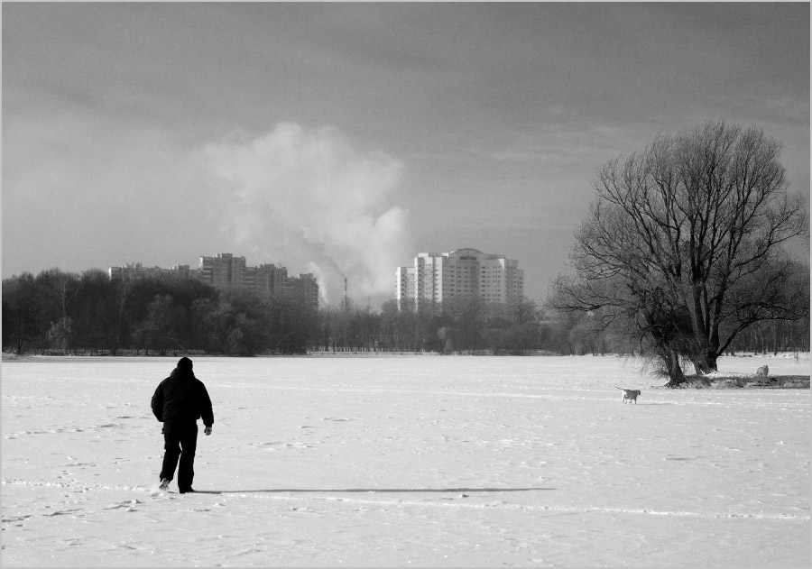 Солнечный день в феврале... #1