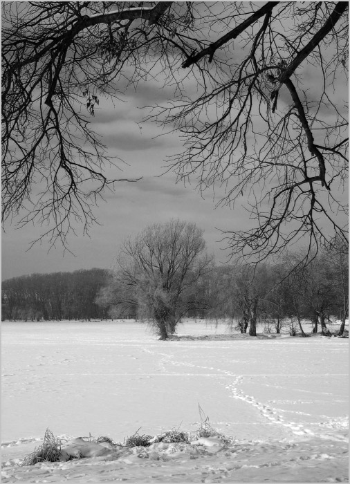 Солнечный день в феврале... #2