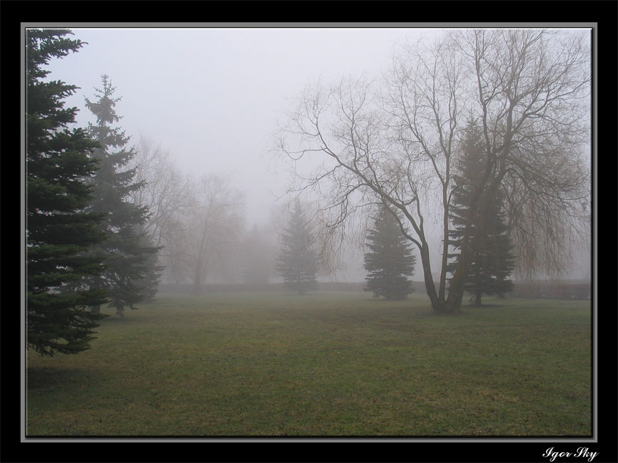 Весеннее утро...