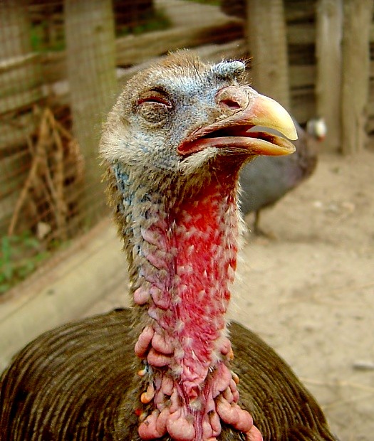 о-о.. мяне здымаюць.. я буду зоркай