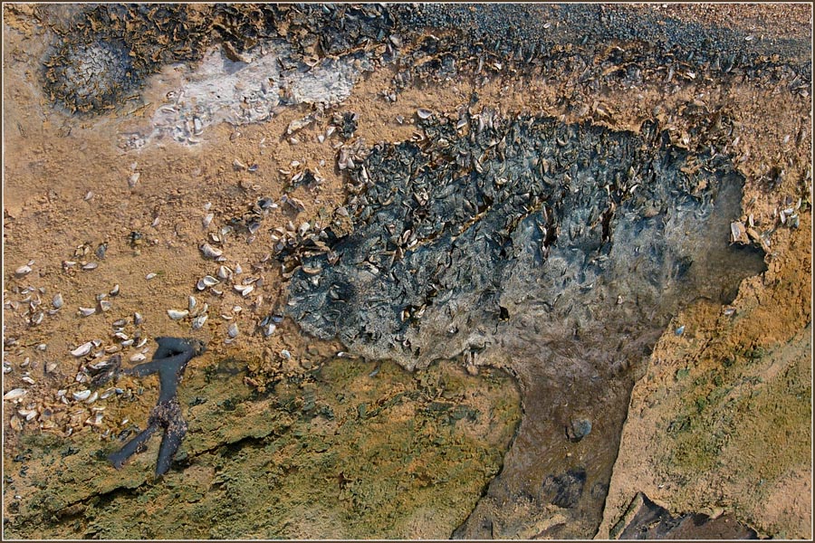 Ветренный пейзаж