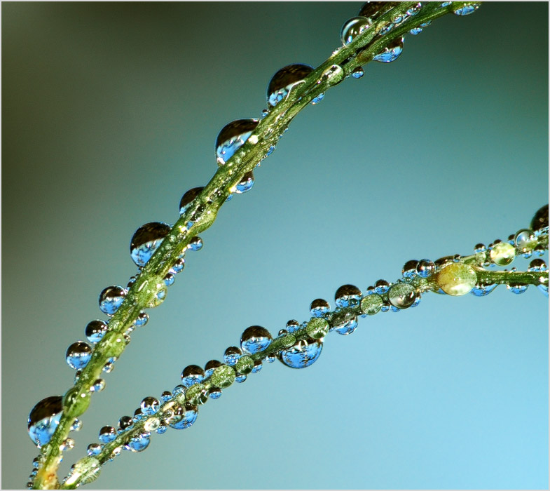 Далекое голубое небо