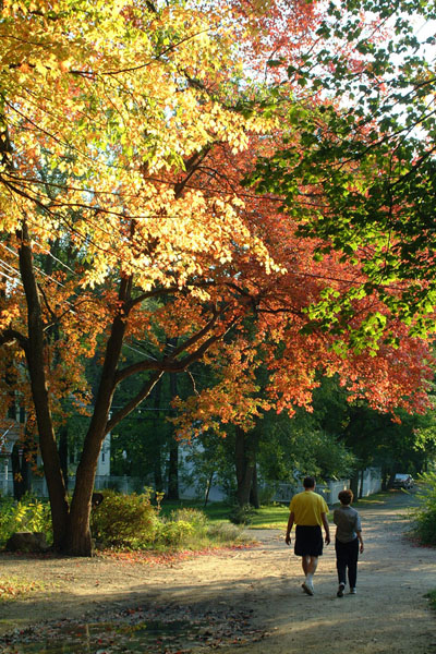 золотая осень