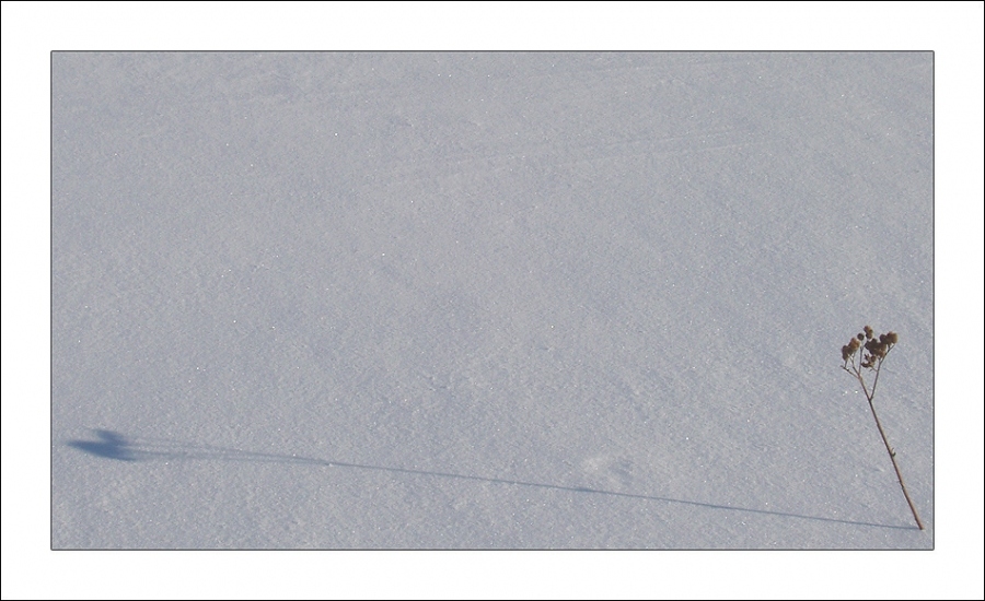 Одиночество и безмятежность