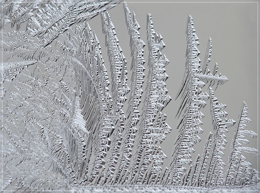 Хрустальный лес