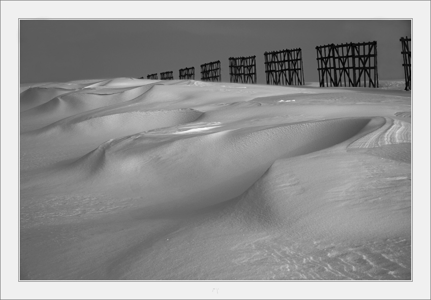 ПУСТЫНЯ ЗИМОЙ