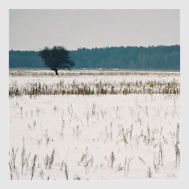 Одиночество