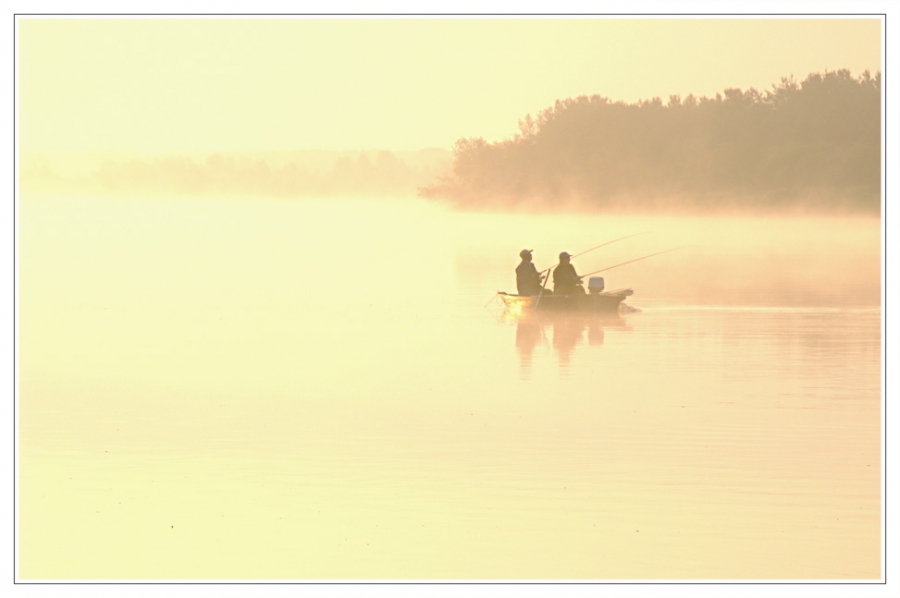 .... в ожидании ЗАВЕТНОГО УДАРА на утренней заре ....