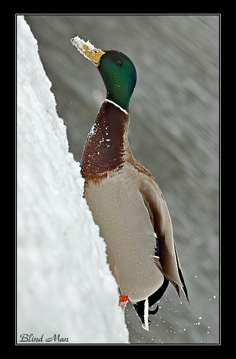 Альпинист...