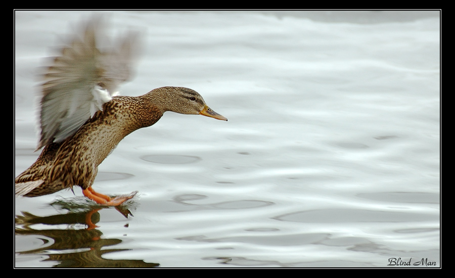 Мягкая посадка...