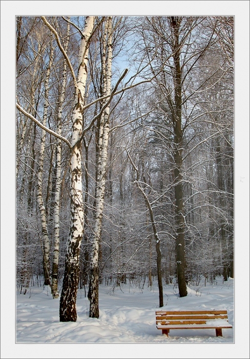 Тишина и покой