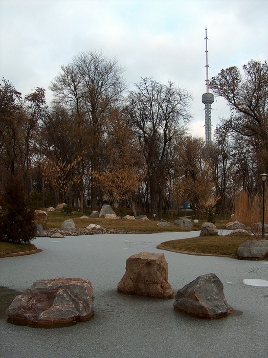 Японский сад