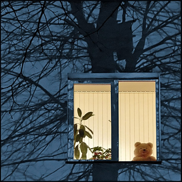 Свет в ночи