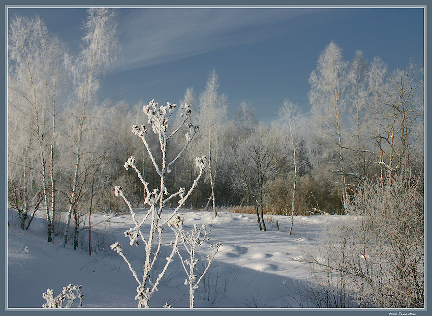 Мороз и Солнце...(I)