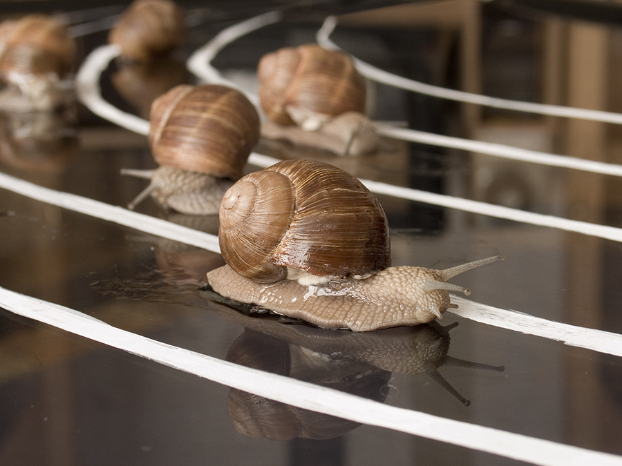 о спорт, ты мир