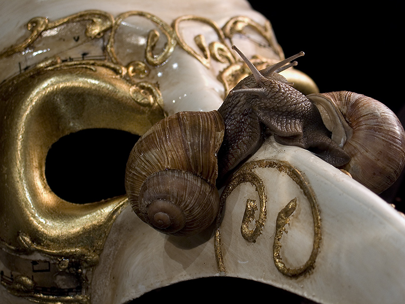 маски сброшены, пришла любовь