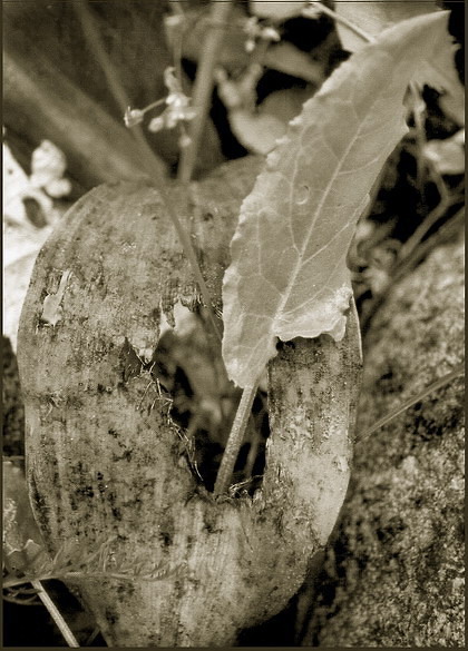 смена поколений