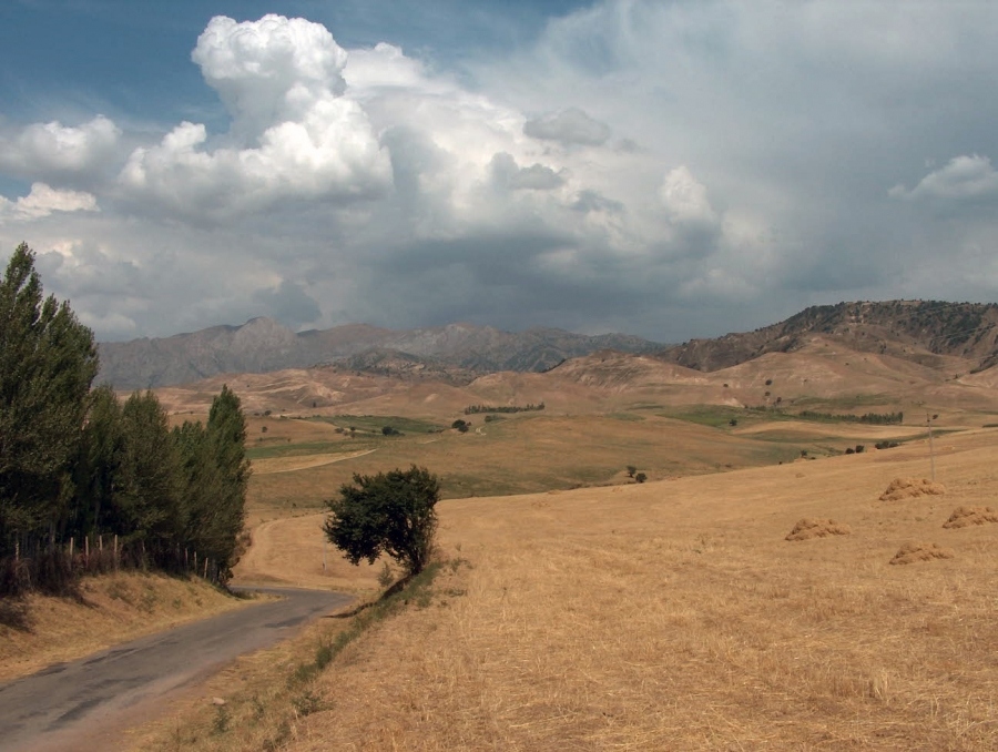 Будет дождь..