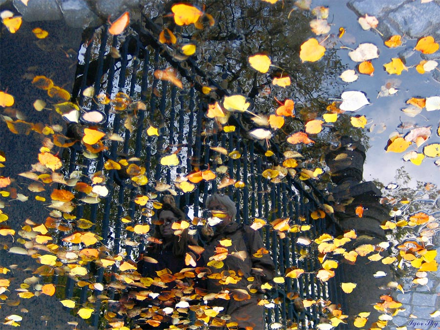 Осенние зарисовки.