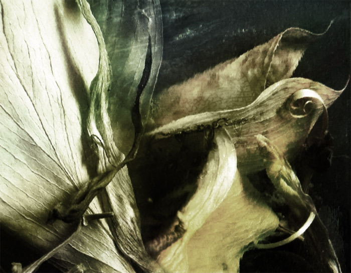 у вечности нет времени