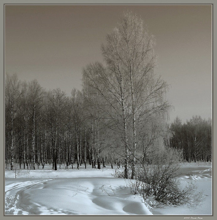 Накануне Весны...