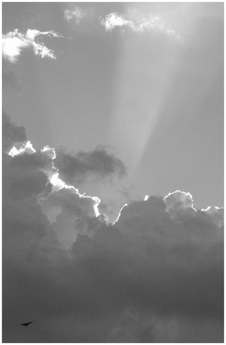 Случайный взгляд в небо