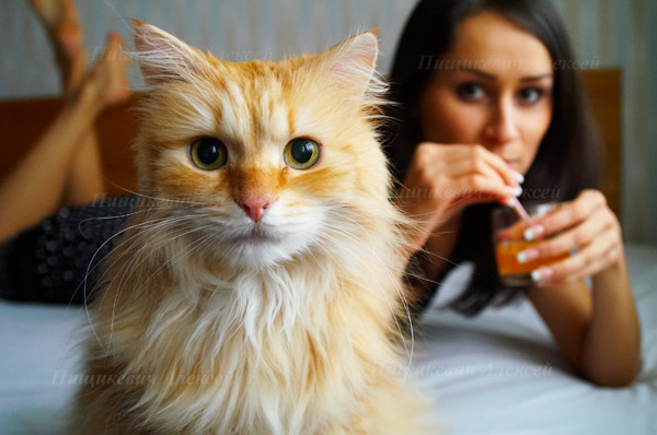 А ЧЕМ Я ХУЖЕ?