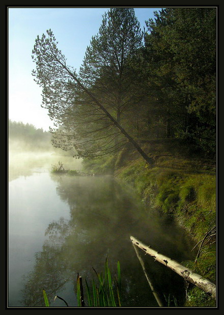 хорошее летнее утро (как-то всё не так:))