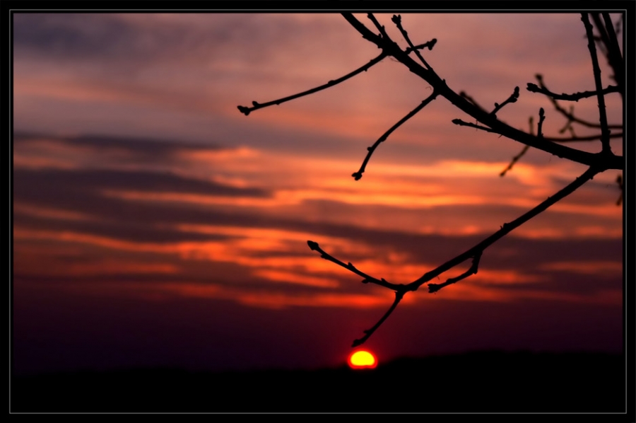 .. прикосновение ...