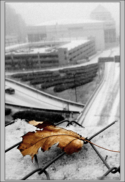 прощай осень...