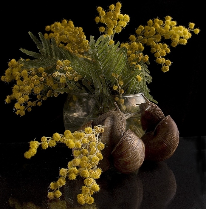 к празднику