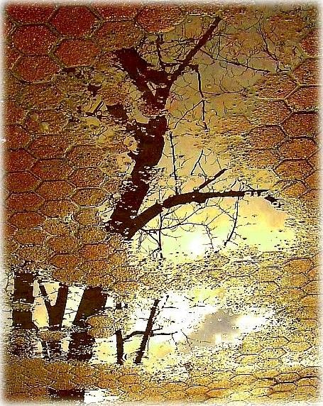 вясна не за мурамі