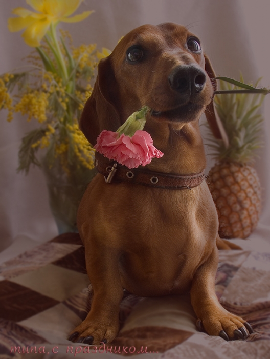 типа, с праздником