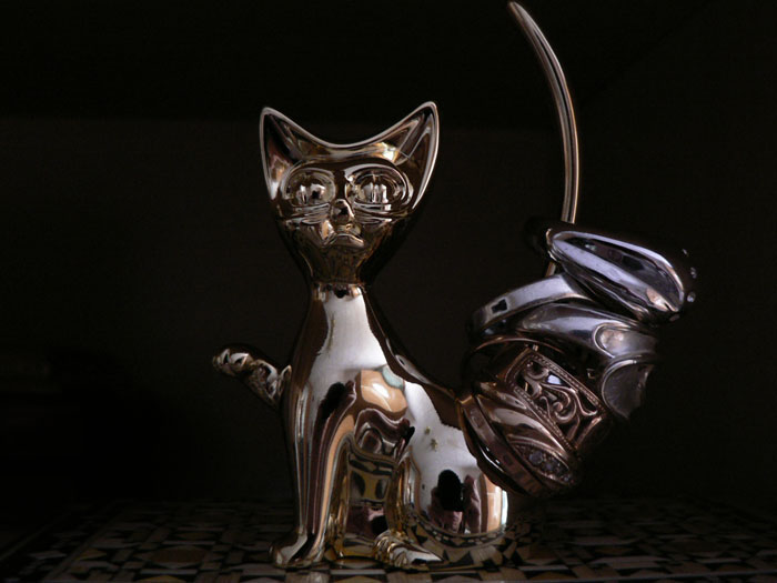 Хранитель колец