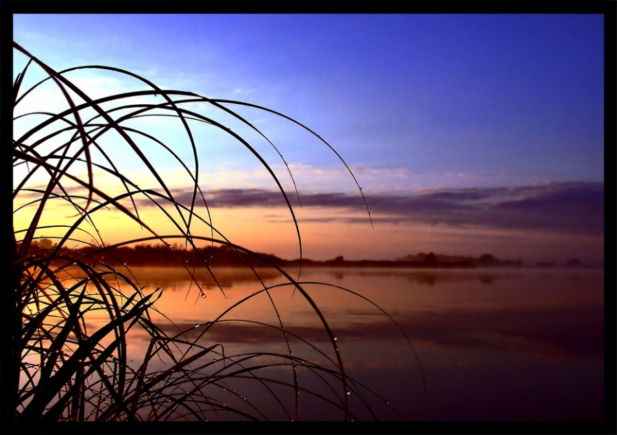 Воспоминания о летних рассветах....