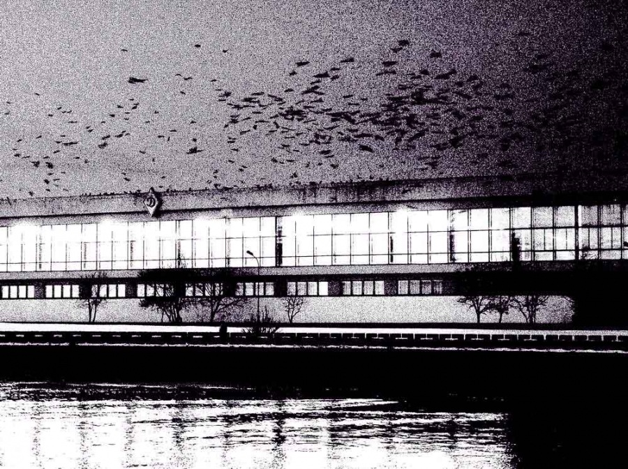 *из темноты*