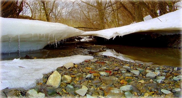 у пэрспэктыве - вясна!