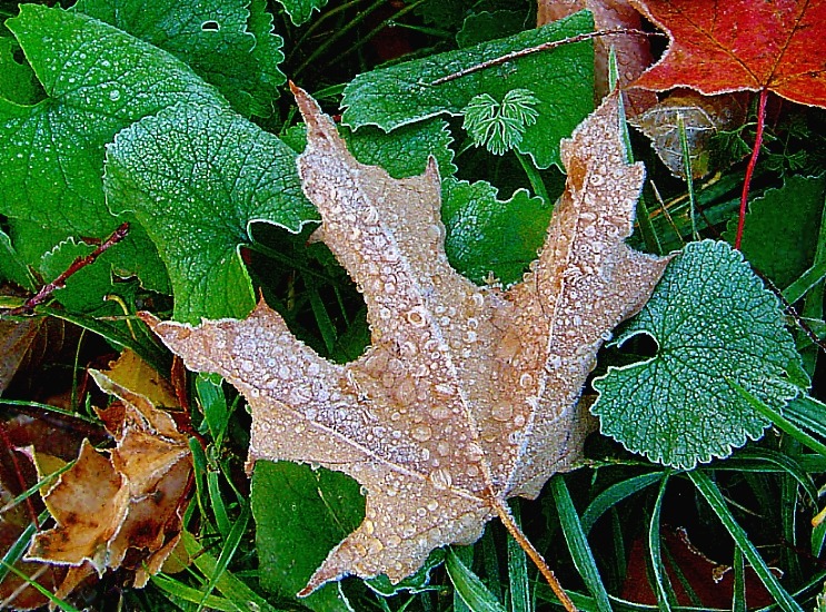 аб крысталізацыі дажджу