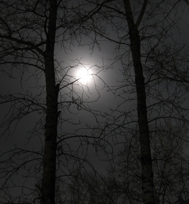 Глазами оборотня