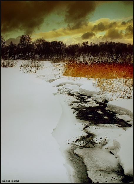 Скоро весна ..