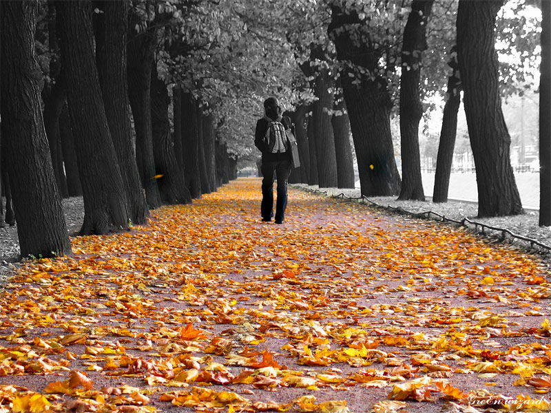 Осенняя прогулка...