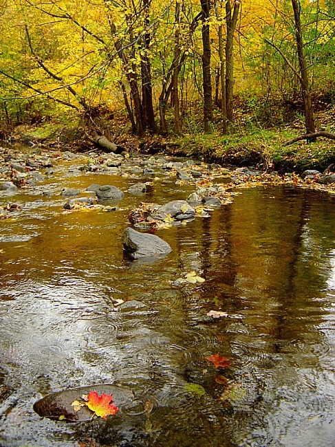 няма канца дажджу...