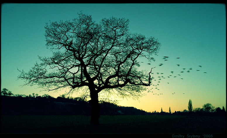 ..... где тепло или flying