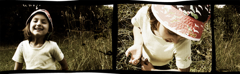 когда трава была ближе солнца